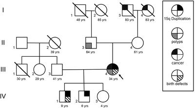 A Rare Inherited 15q11.2-q13.1 Interstitial Duplication with Maternal Somatic Mosaicism, Renal Carcinoma, and Autism